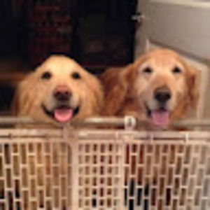 Meet your Posher, Bentley